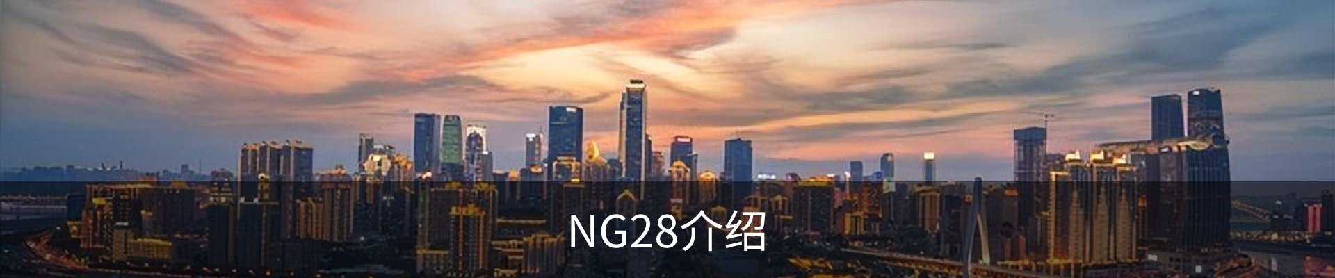 NG28介绍